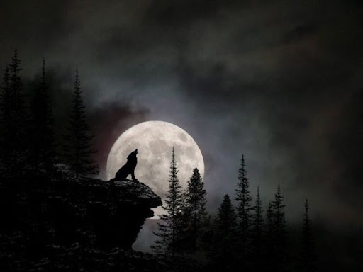Nằm mơ thấy trăng có ý nghĩa gì điềm báo tốt hay xấu